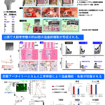 A-01 石川邦夫 (九州大学)